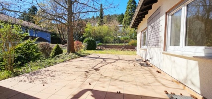 whatsapp_image_2026-04-09_at_17_42_23